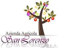 Azienda Agricola San Lorenzo